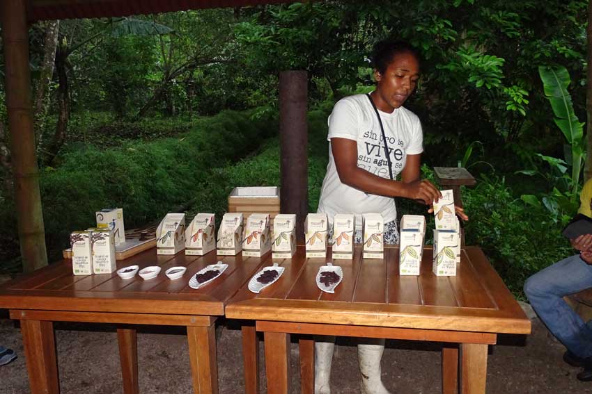 Cacau equatoriano e chocolate do Equador.